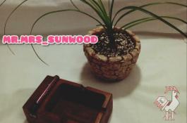 محصولات چوبی